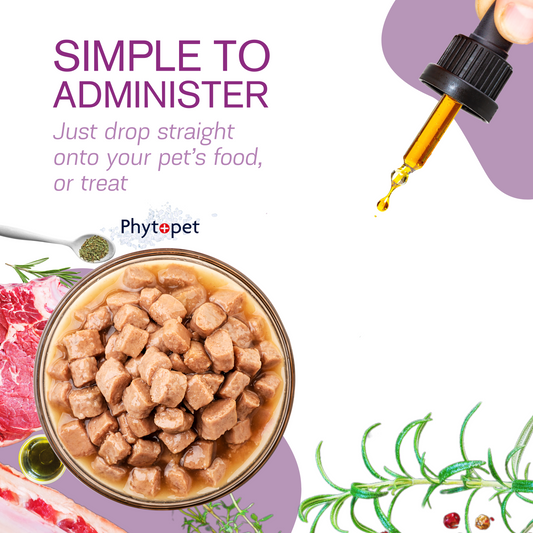 Immune Plus - Immune System Support