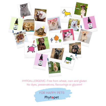 Chicken Immune - Immune support for Poultry, Game and Aviary birds