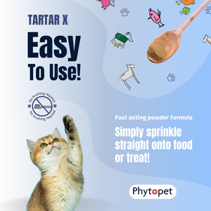 Tartar X