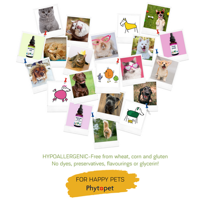 Turmeric and Bioperine