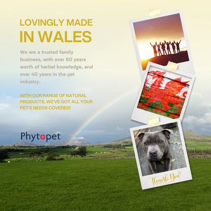 Skin Aid - Sooths Skin Irritations from the Inside out