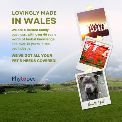 Pad Oil - Gentle, Soothing Skin Aid