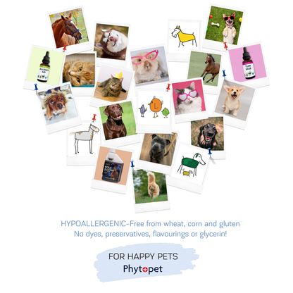 Phytopet Life Drops ® - Spray