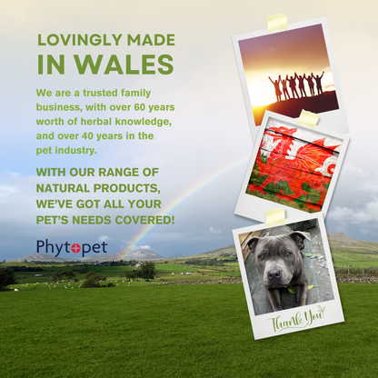 Turmeric and Bioperine