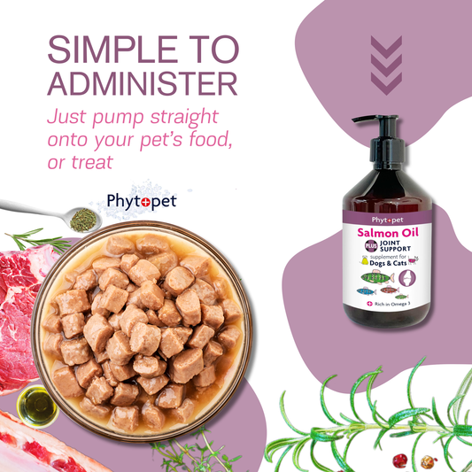 Salmon Oil Plus 300ml - Joint Support