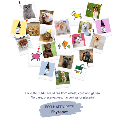 Tartar X - Helps Get The Plaque Off