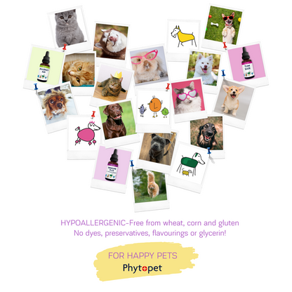 Skin Aid - Sooths Skin Irritations from the Inside out