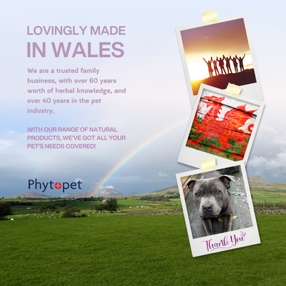 Scratch - Natural Pest Repellent