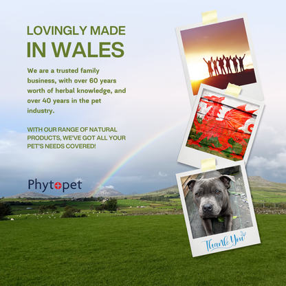 Garlic & Echinacea Complex