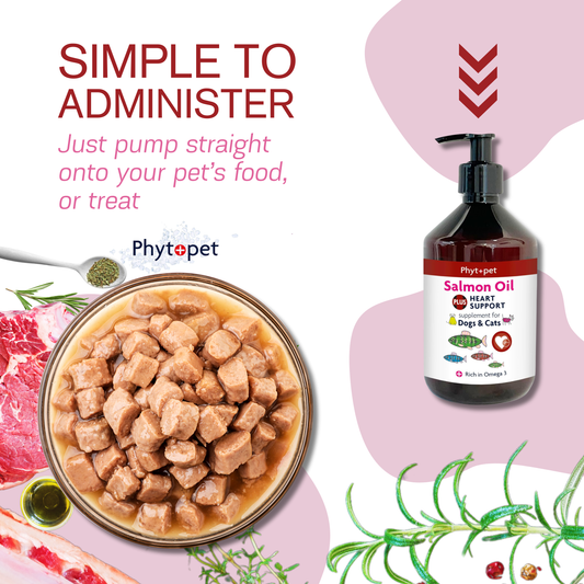 Salmon Oil Plus 300ml - Heart Support