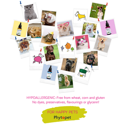 Pet Col 100g for Healthy Tums & Bums