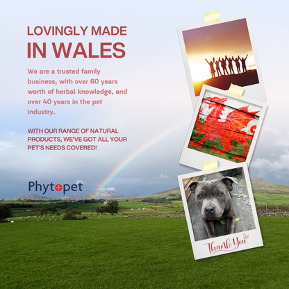 Chicken Wormwood Complex - Supporting intestinal hygiene in Poultry and other birds