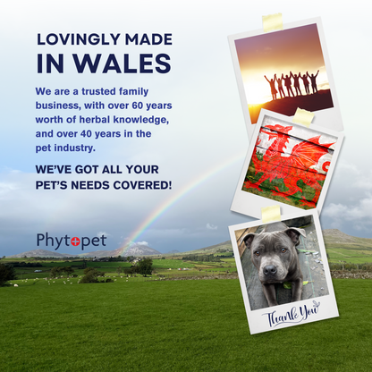 K9-Sure - Super Green Food Powder