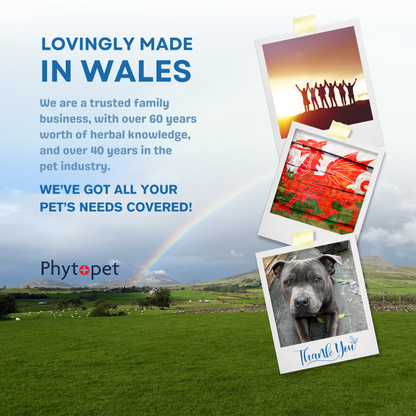 Salmon Oil Plus 300ml Allergy Support