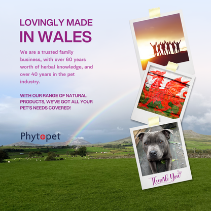 Probiotic Concentrate | Daily Microbiome Support for Pets