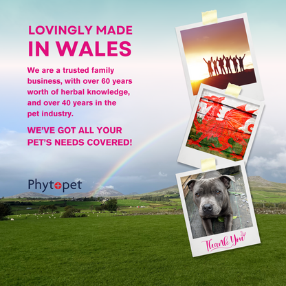 Pet Col 100g for Healthy Tums & Bums