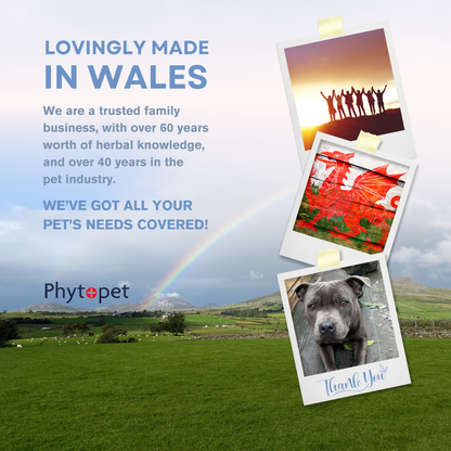 Phytopet Life Drops ® - Spray