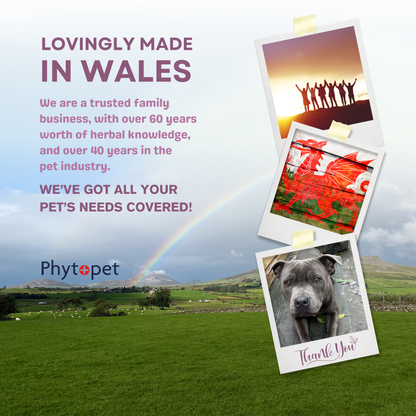 Salmon Oil Plus 300ml - Joint Support