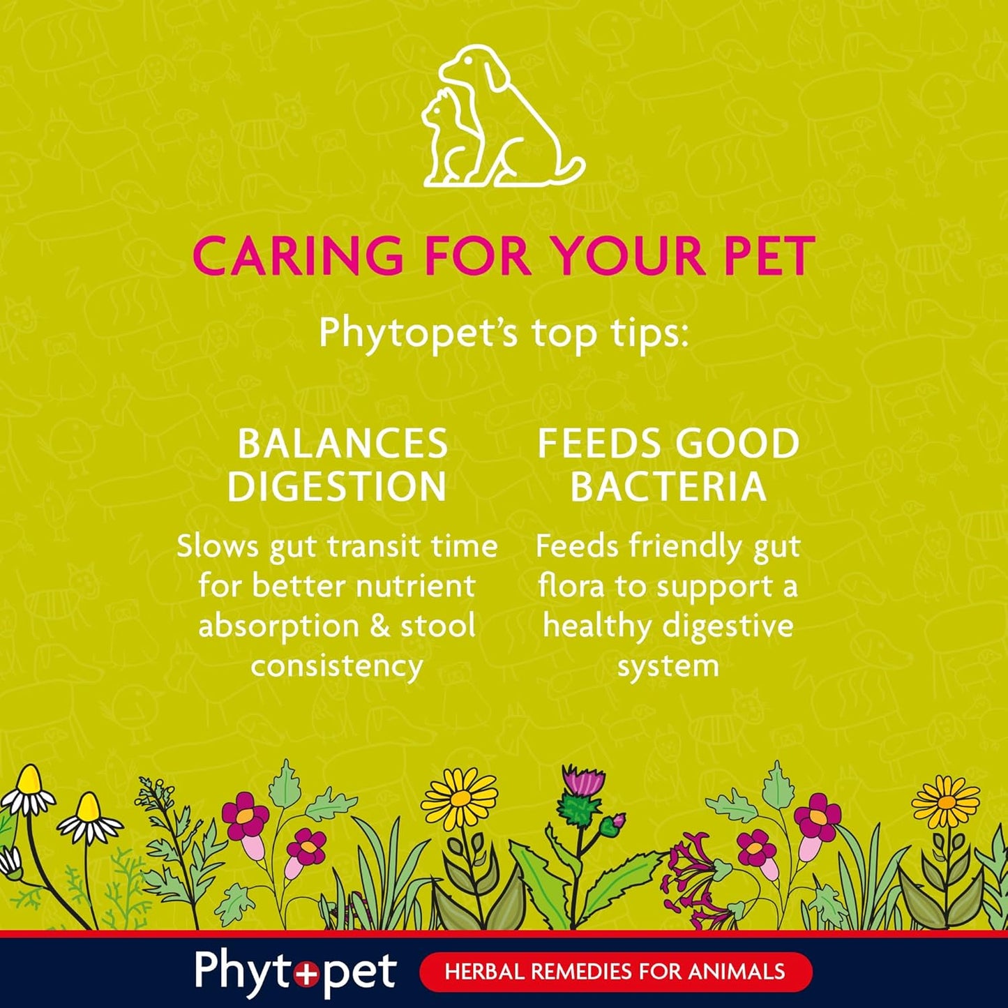 Probiotic Concentrate 100g - Pre, Pro and Post-Biotic