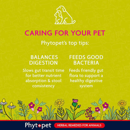 Probiotic Concentrate | Daily Microbiome Support for Pets