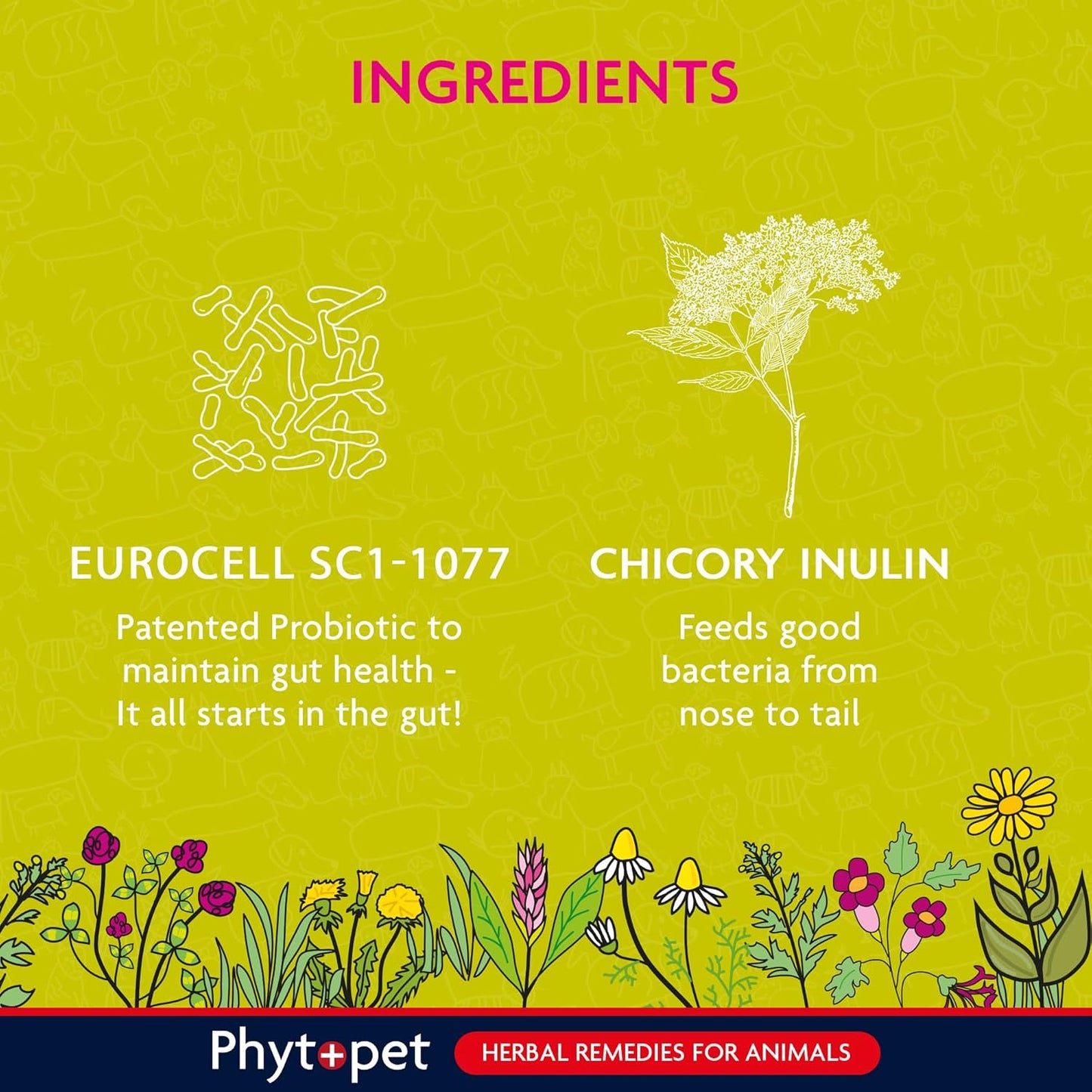 Probiotic Concentrate 100g - Pre, Pro and Post-Biotic