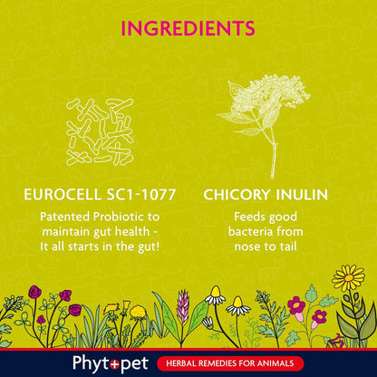 Probiotic Concentrate | Daily Microbiome Support for Pets