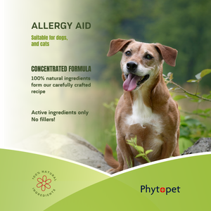 Herbal Allergy Aid
