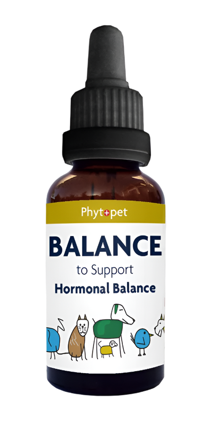 Balance - Support for Natural Balance & Wellbeing