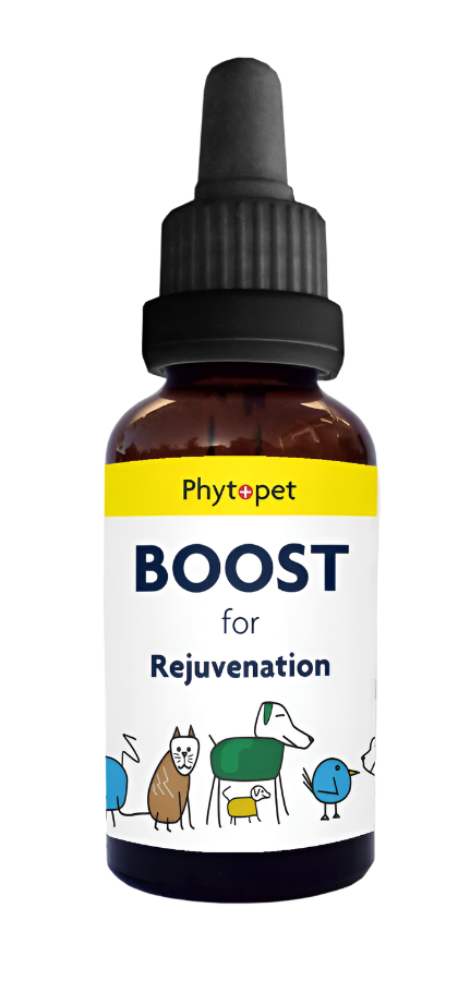 Boost - Herbal Supplement to Support Vitality