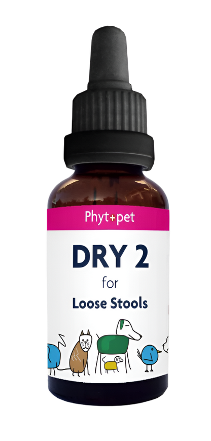 Dry 2 - Herbal Support for Loose Stools