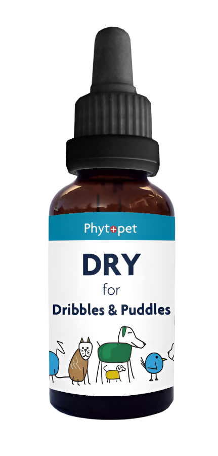 Dry - Herbal Support for Dribbles and Puddles