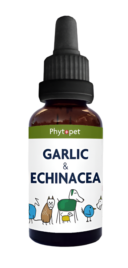 Garlic & Echinacea Complex