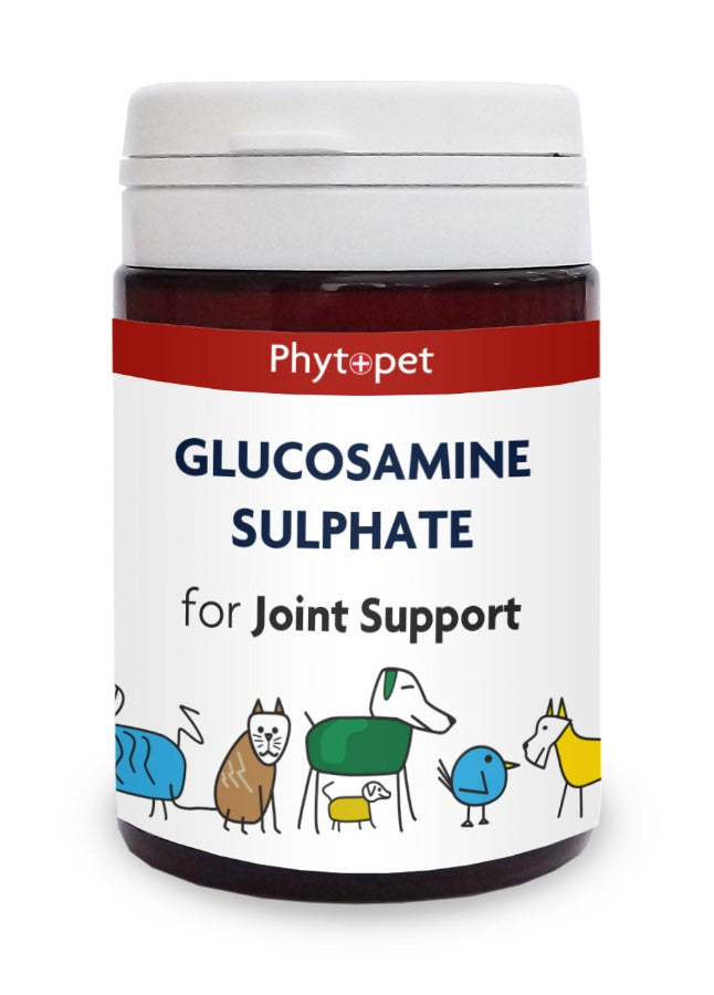 Glucosamine Sulphate 500mg