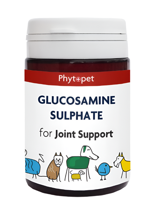 ‍Glucosamine Sulphate 500mg - Joint Support (100% off)