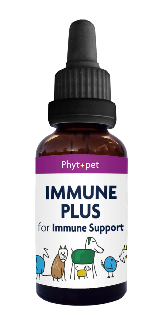 ‍Immune Plus - Everyday immune support for dogs,cats & pets (100% off)