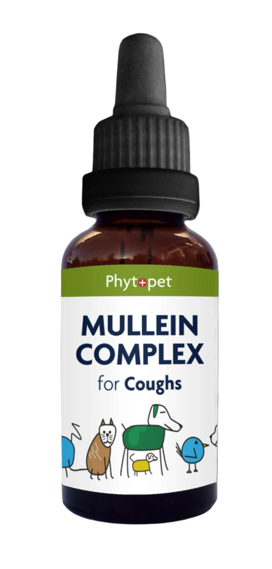 ‍Mullein Complex (100% off)