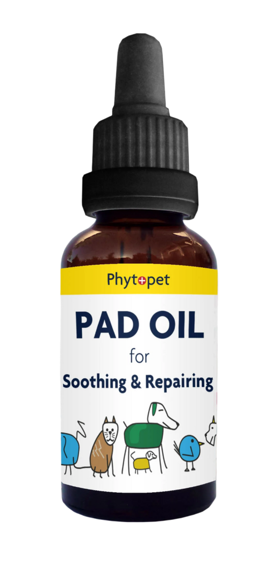 ‍Pad Oil - Gentle, Soothing Skin Aid (100% off)