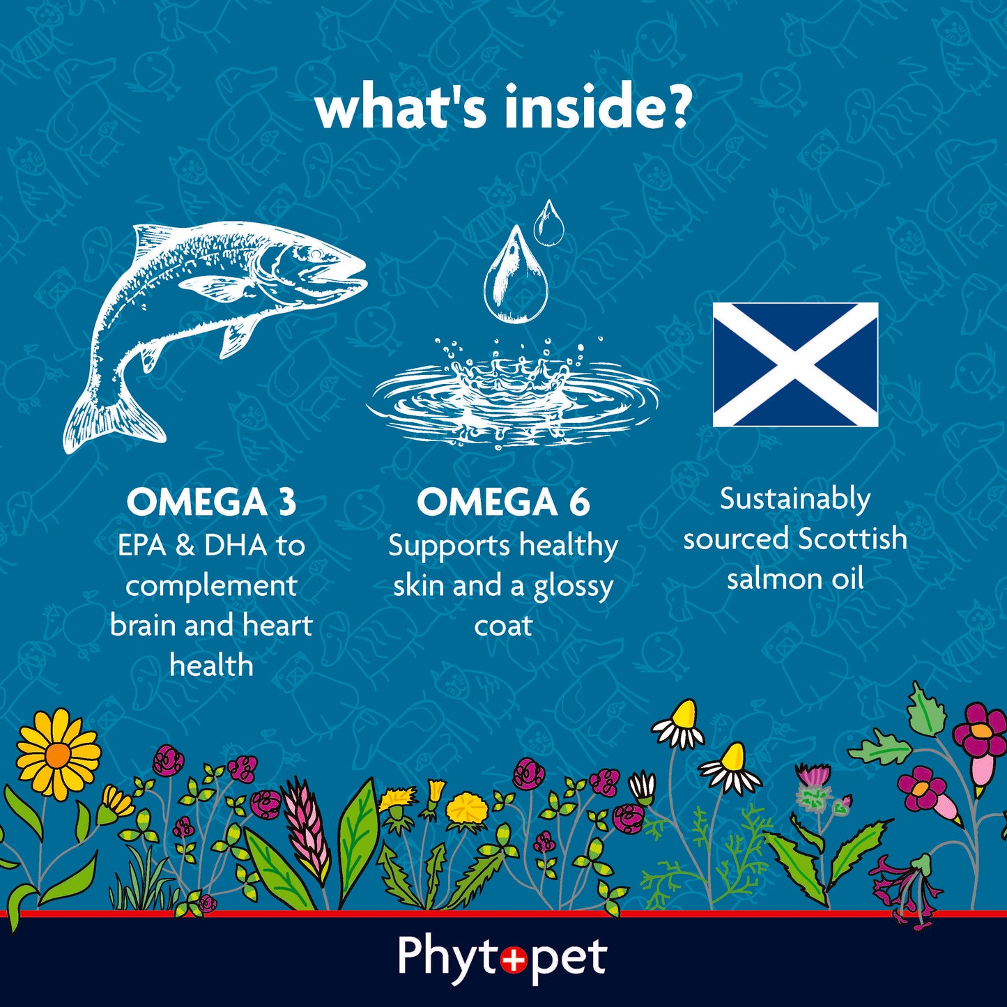 Scottish Salmon Oil 500ml