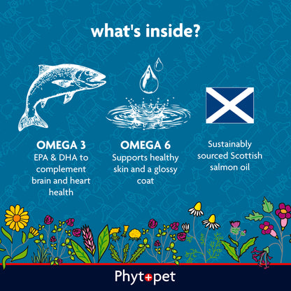 Scottish Salmon Oil 500ml