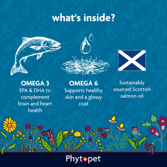 Scottish Salmon Oil 500ml