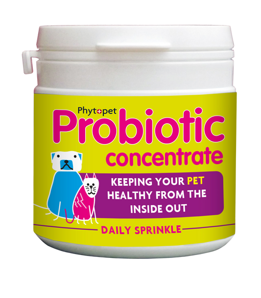 Probiotic Concentrate | Daily Microbiome Support for Pets