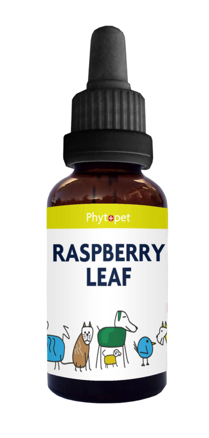 Raspberry Leaf 30ml