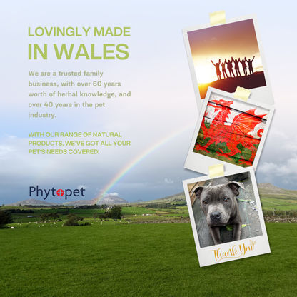 Chicken Squits - To help loose stools in Poultry and other birds