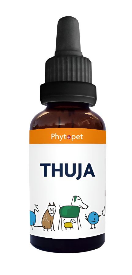 Thuja Tincture