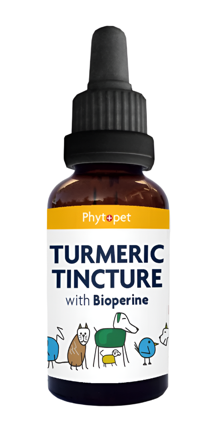‍Turmeric & Bioperine | Daily Supplement for Dogs (100% off)