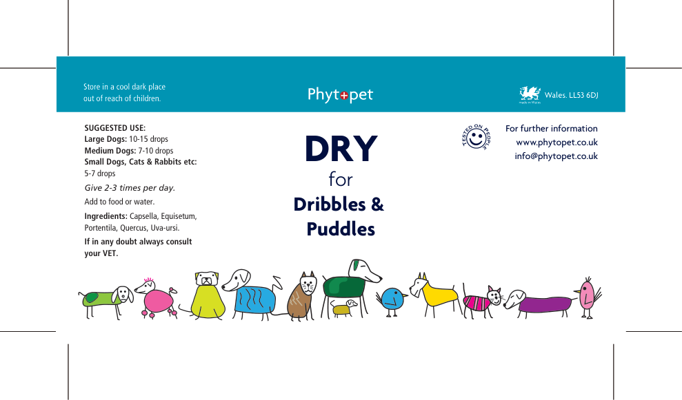 Dry - Herbal Support for Dribbles and Puddles