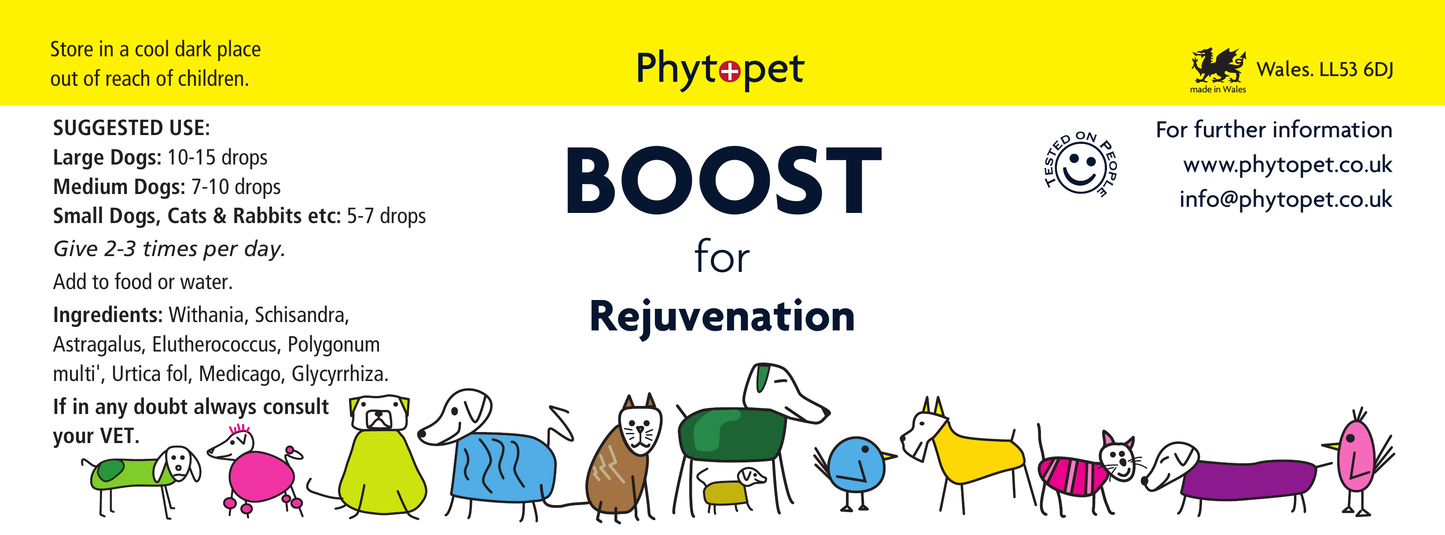 Boost - Herbal Supplement to Support Vitality