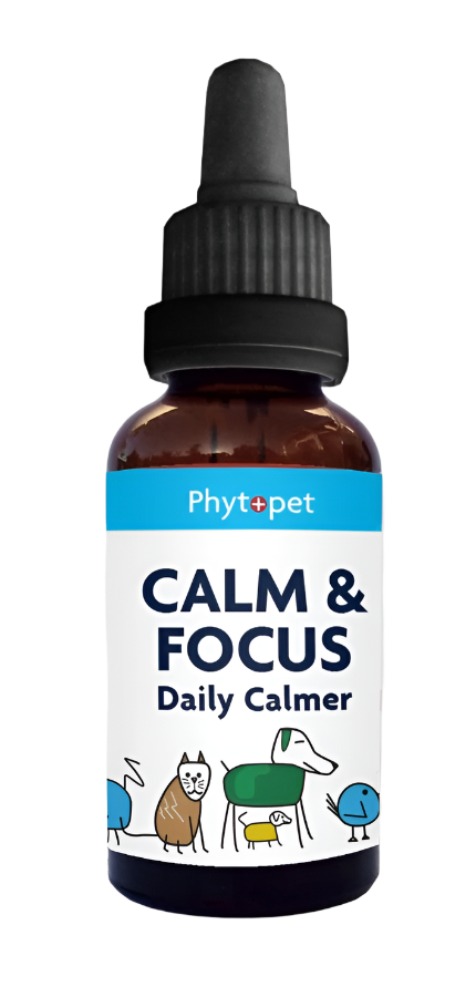 Calm & Focus - Daily Calmer