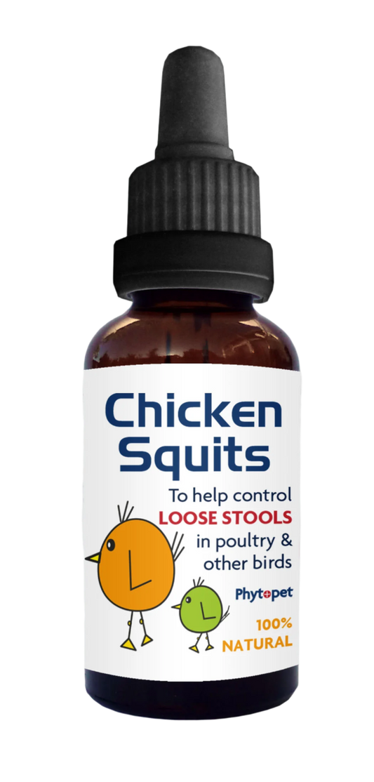 ‍Chicken Squits - To help loose stools in Poultry and other birds (100% off)