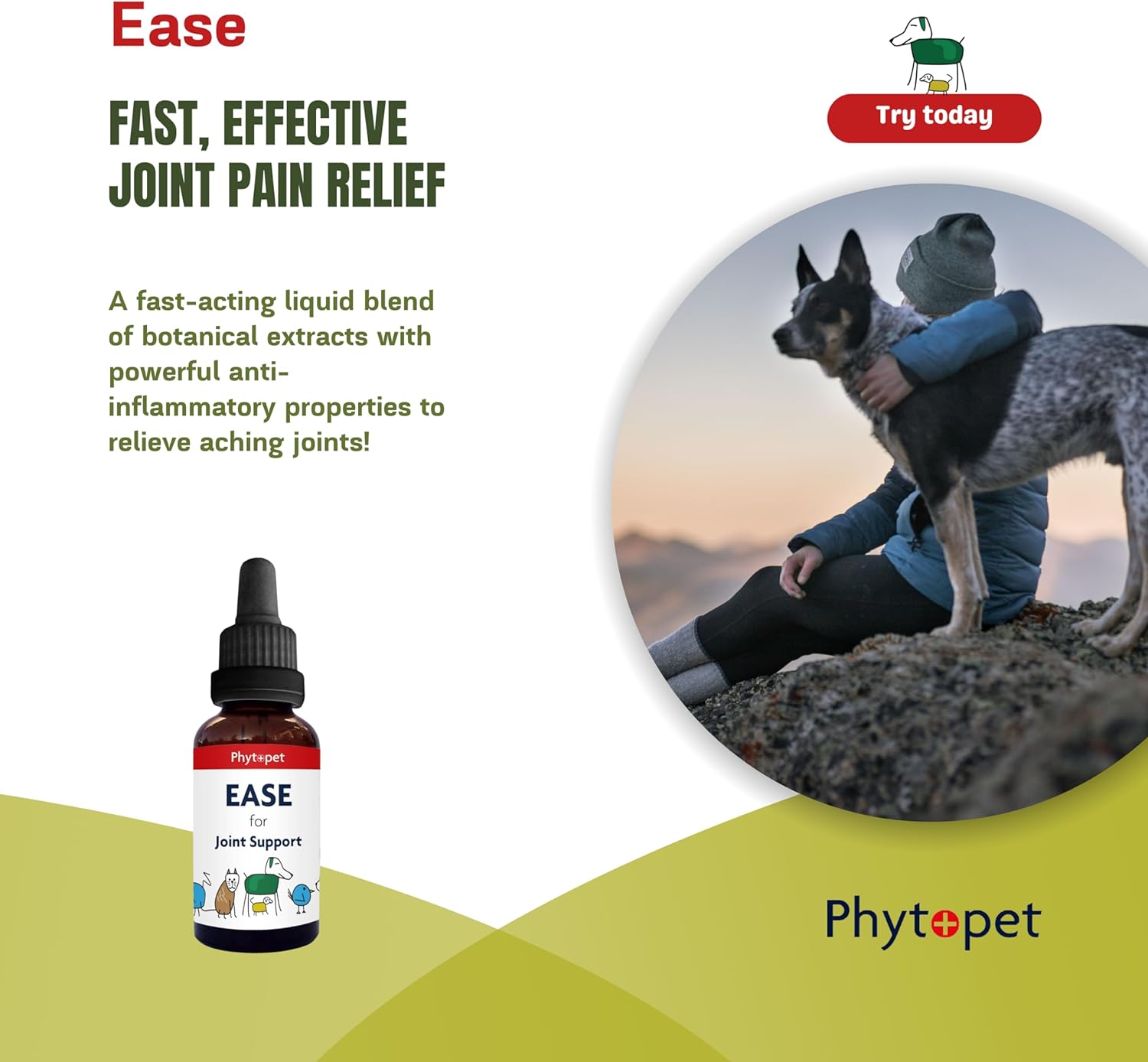 Ease - Turmeric and Boswellia Complex for Joint Pain